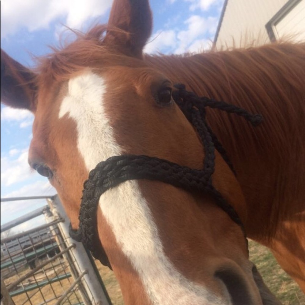 Meet your Posher, Kaycee